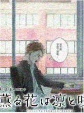 运动竞技青春长篇书单封面
